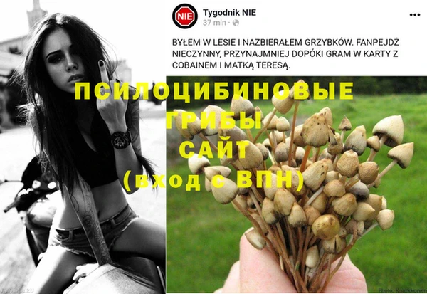 ECSTASY Белоозёрский