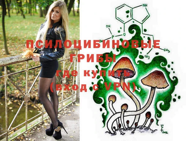 mix Белокуриха