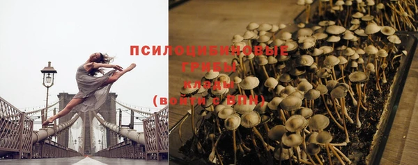 не бодяженный Снежногорск